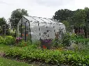 Greenhouse S1