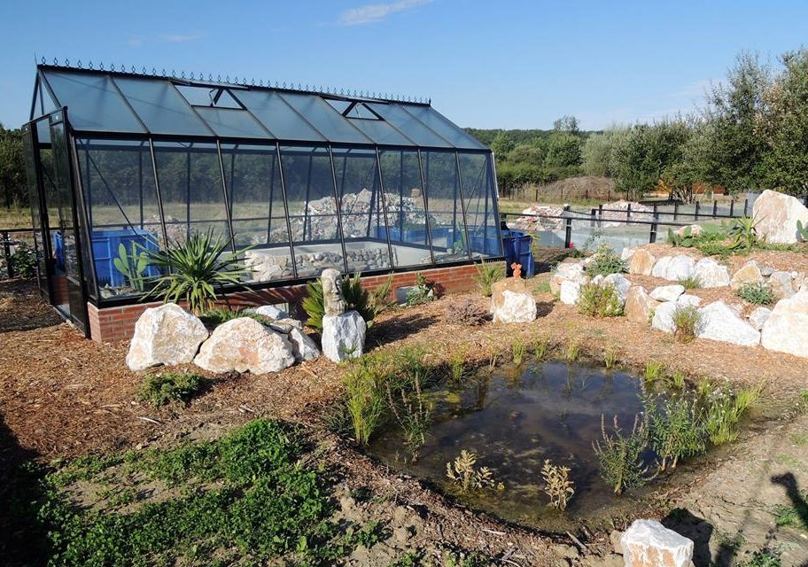 The animal-friendly greenhouse